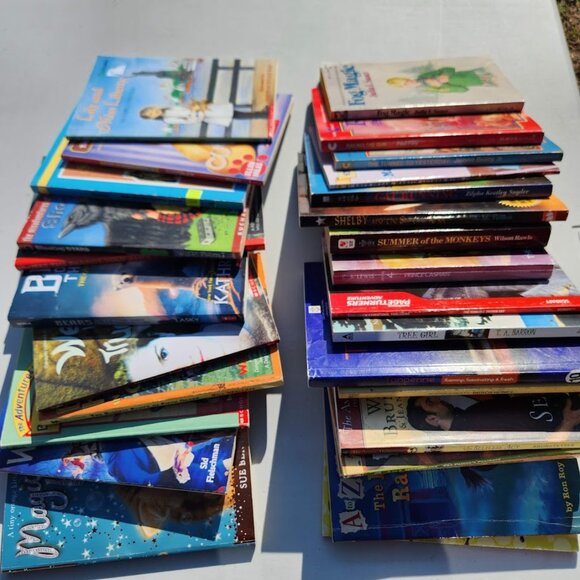 4 Book Bundle Lot Set Chapter Books Young Adult Literature Novels Mystery Books - Picture 9 of 16